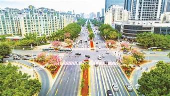 深圳龍崗龍翔大道景觀設(shè)計（深圳龍崗龍翔大道景觀設(shè)計招標(biāo)）